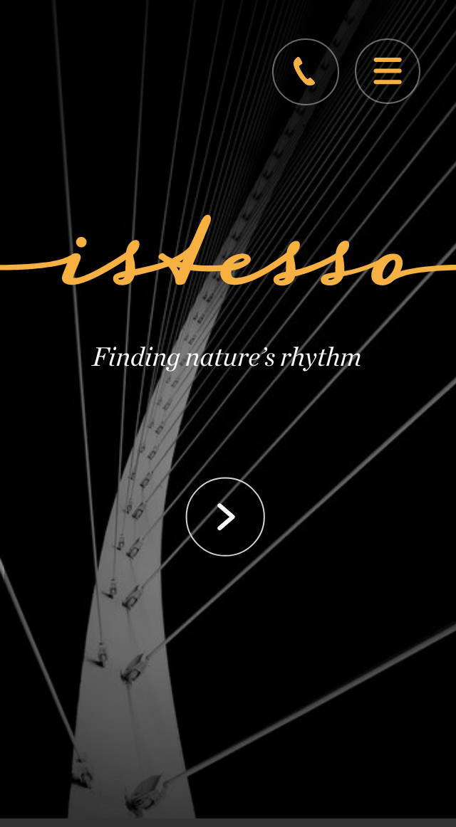 Istesso mobile homepage - rejected concept