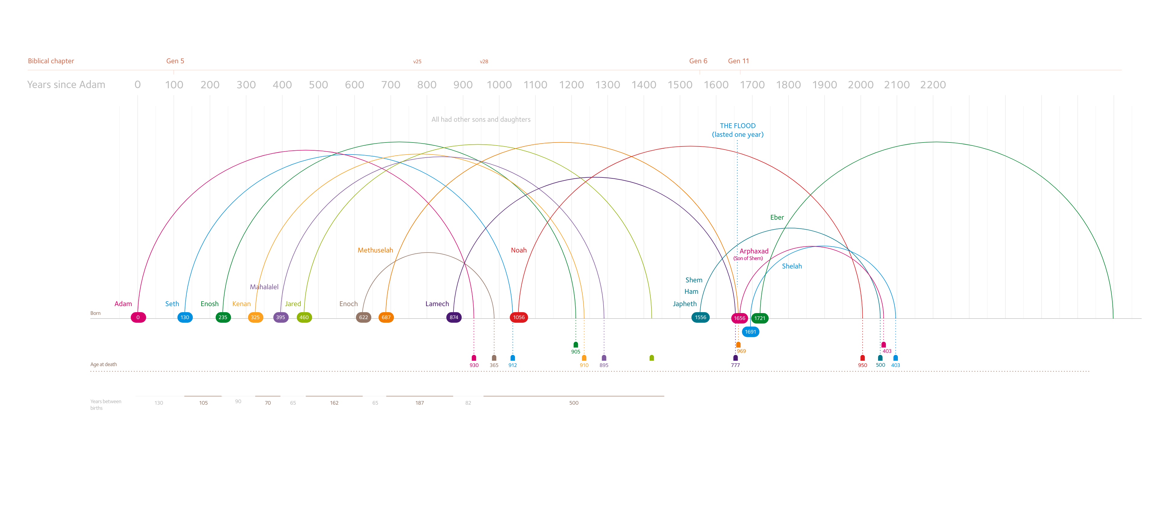 Bible timeline infographic showing births and deaths