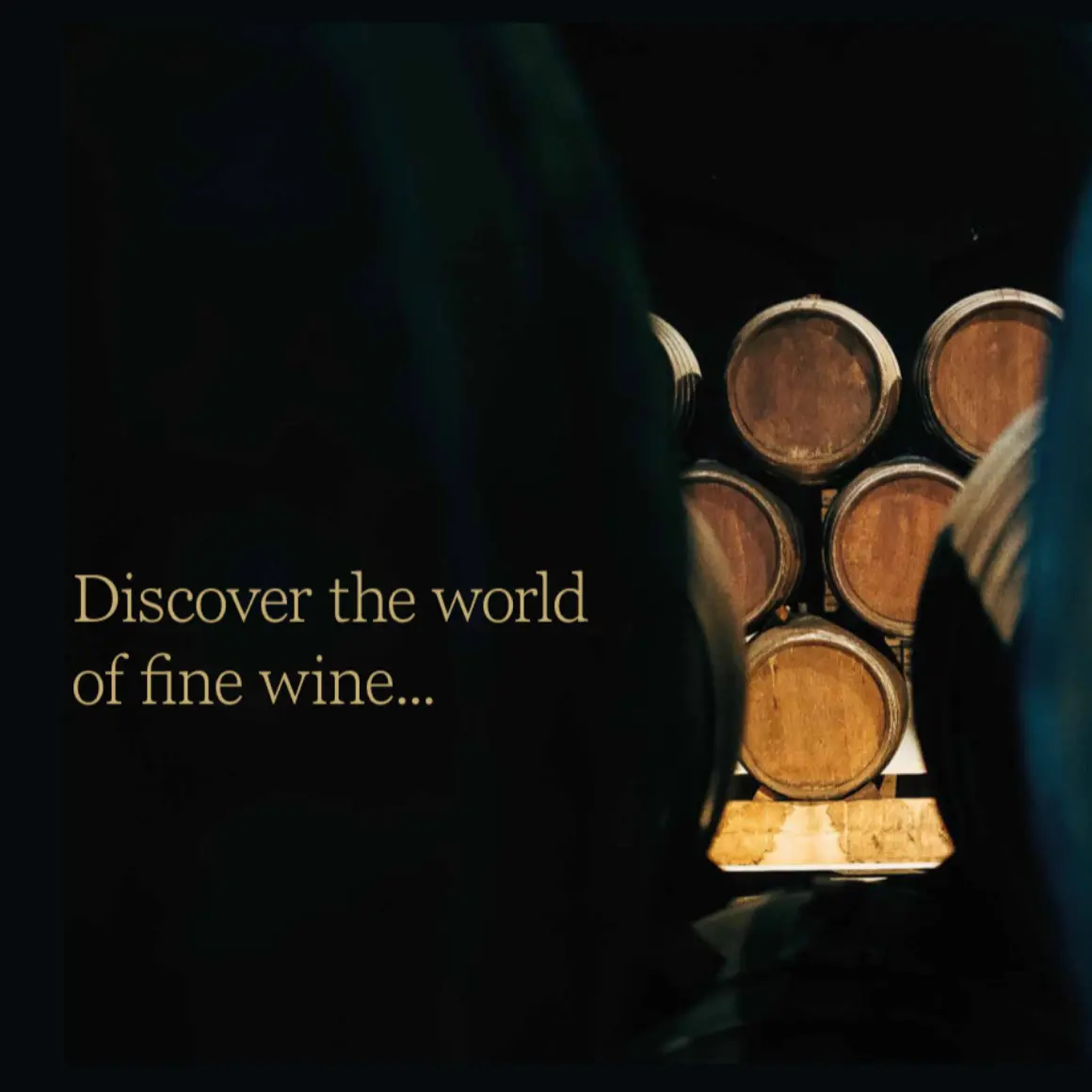 Veblen Wine - Brand, print and marketing