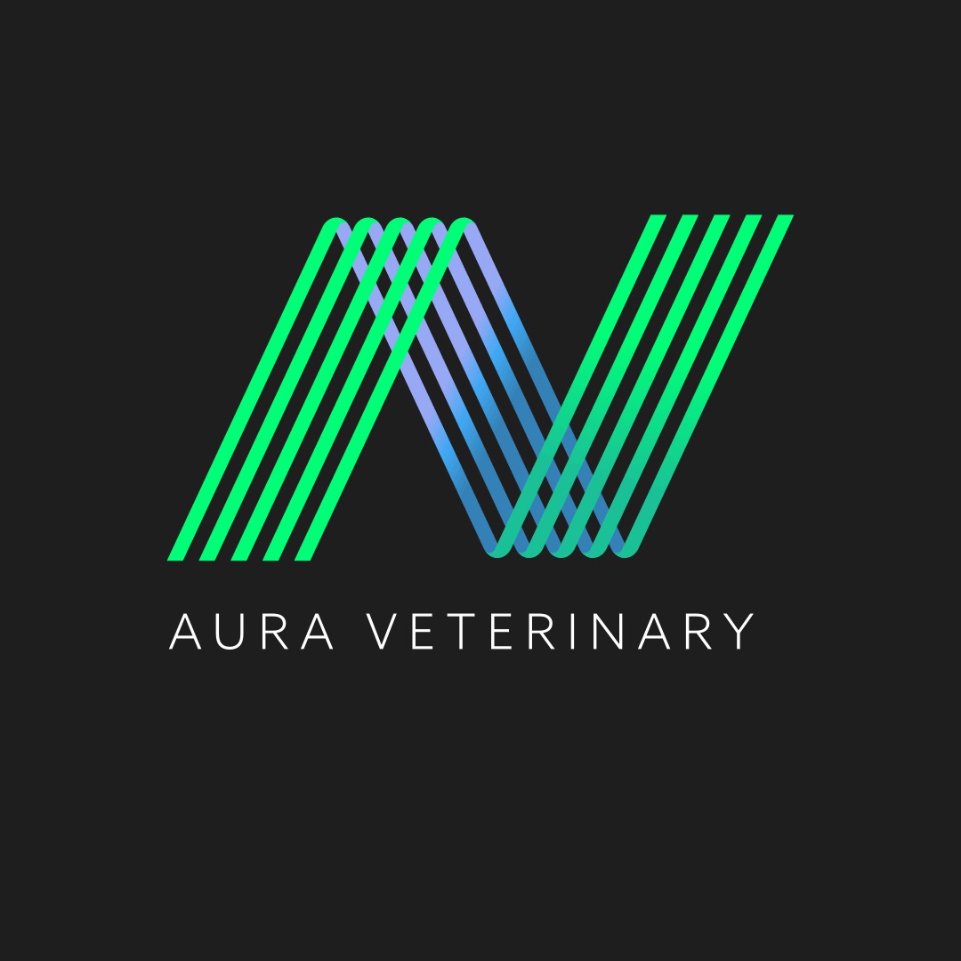 Aura Veterinary logo concepts